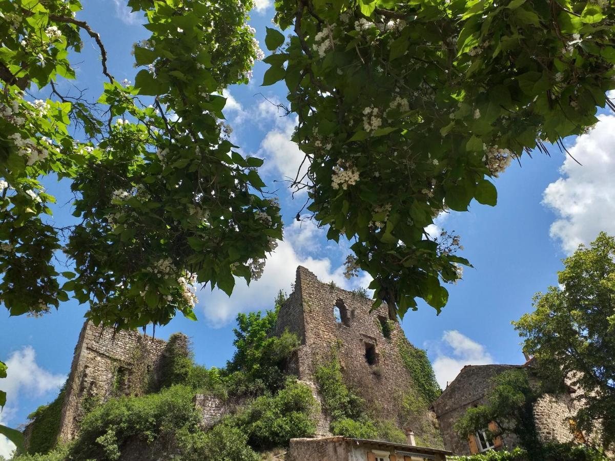 Les Pentes Du Chateau De Retourtour Lamastre Exteriér fotografie
